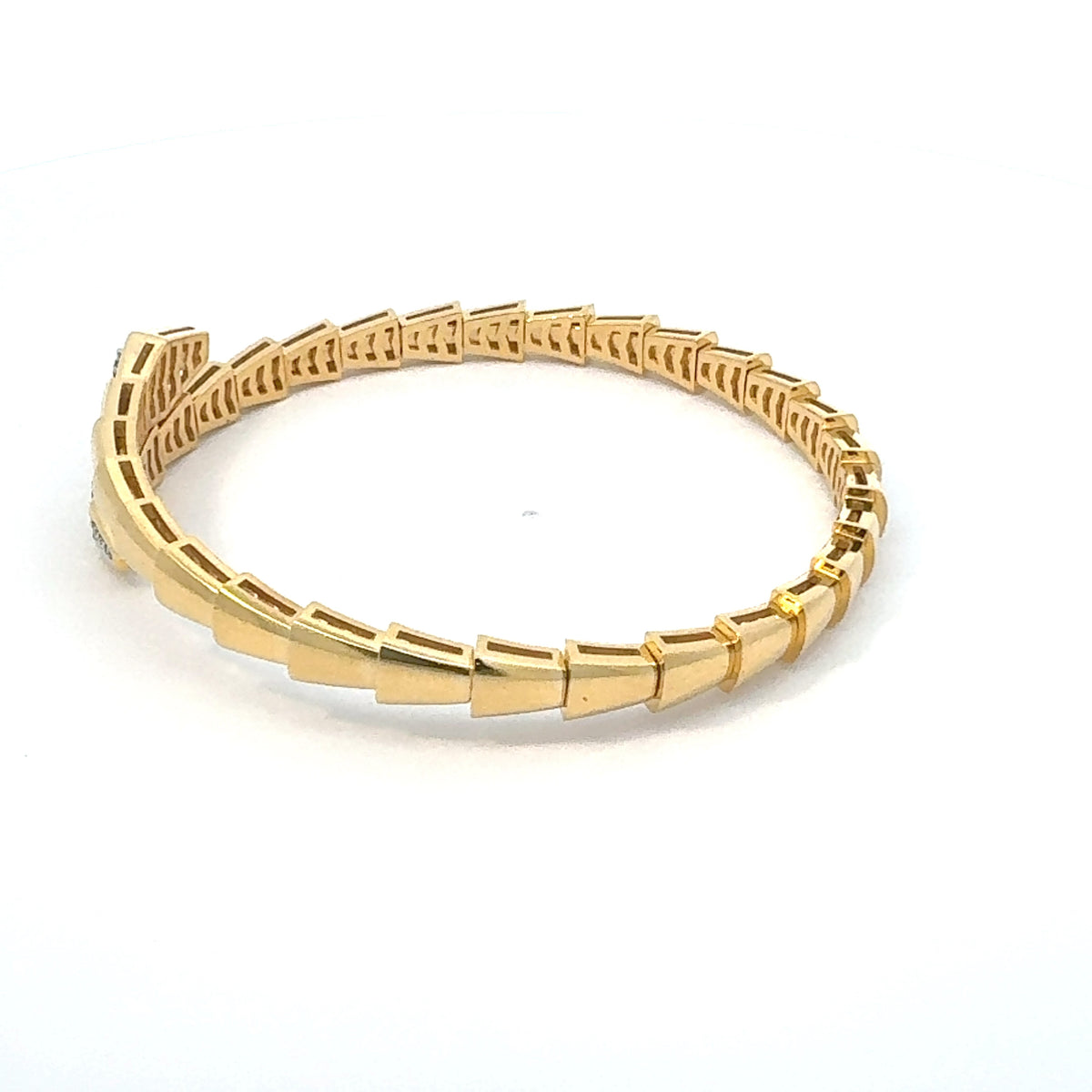Snake Flex High-Gloss Bracelet Inspirational